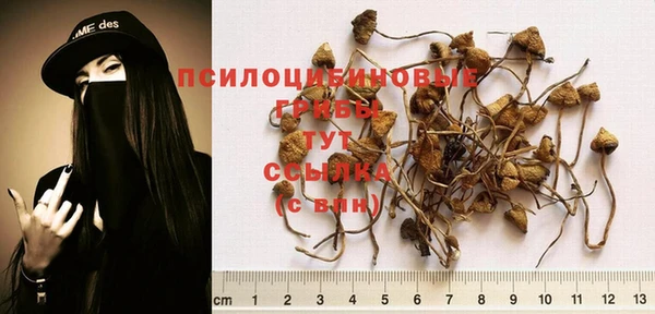 МДПВ Вязьма