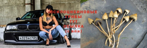 МДПВ Вязьма