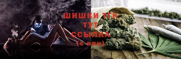 МДПВ Вязьма